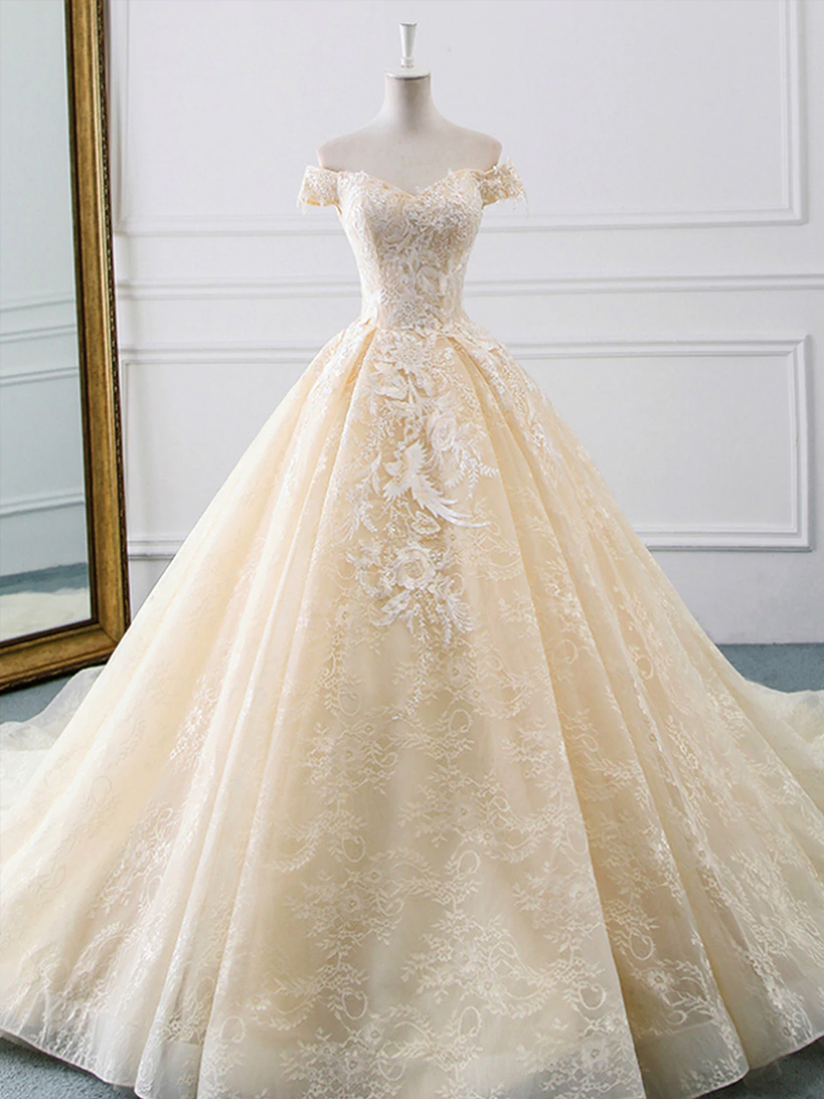 Champagne Ball Gown Tulle Lace Appliques Wedding Dress With on Luulla